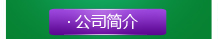 公司簡介