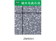 1ZMN011