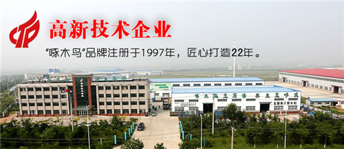 啄木鳥健康漆：始于心，但不止于新